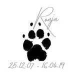 Image from Ronja