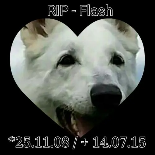 Image from Flash
