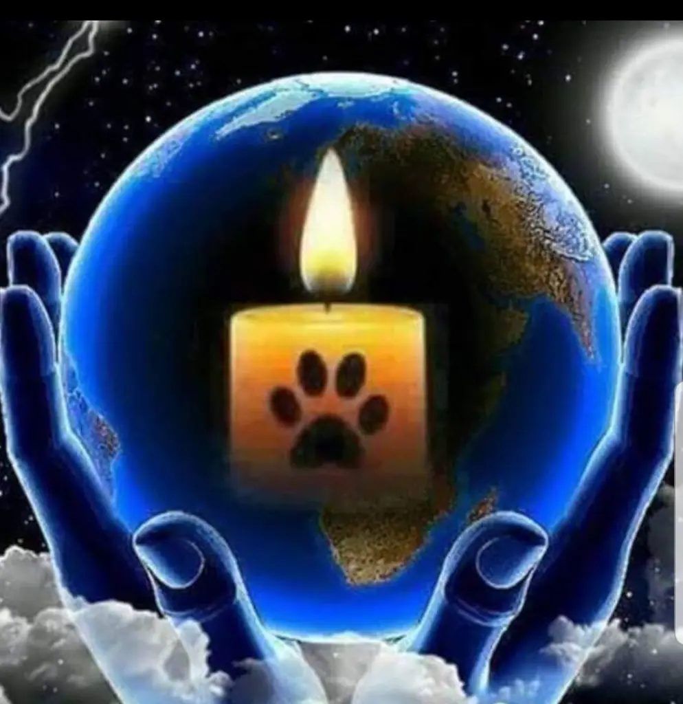 Condolence image of Manuela