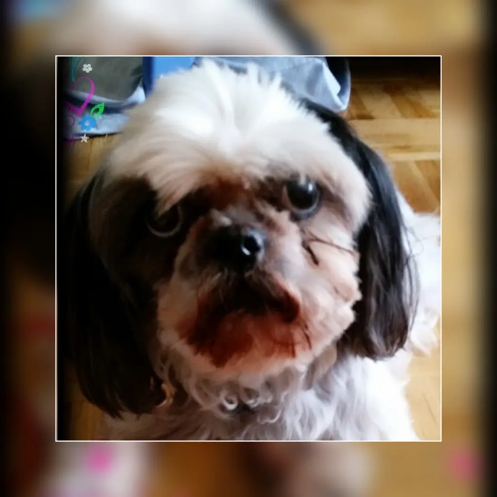 Condolence image of Manuela