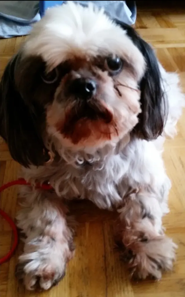 Condolence image of Manuela