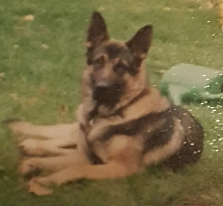 Condolence image of Ulrike