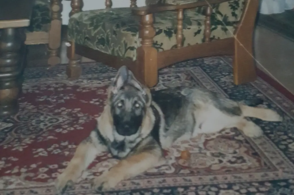 Condolence image of Ulrike