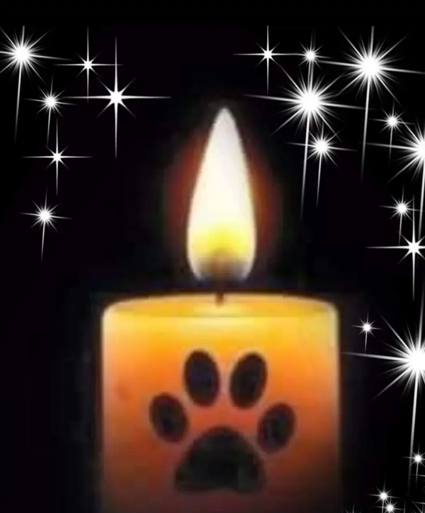 Condolence image of Ulrike