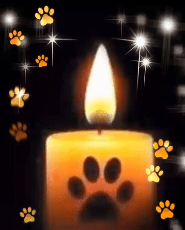 Condolence image of Ulrike
