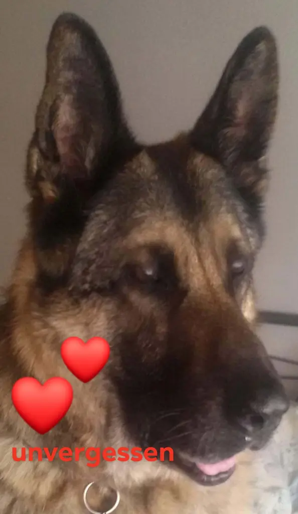 Condolence image of Ulrike