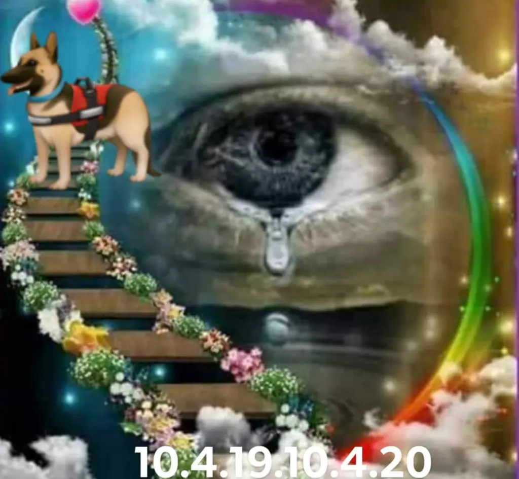 Condolence image of Ulrike woryna