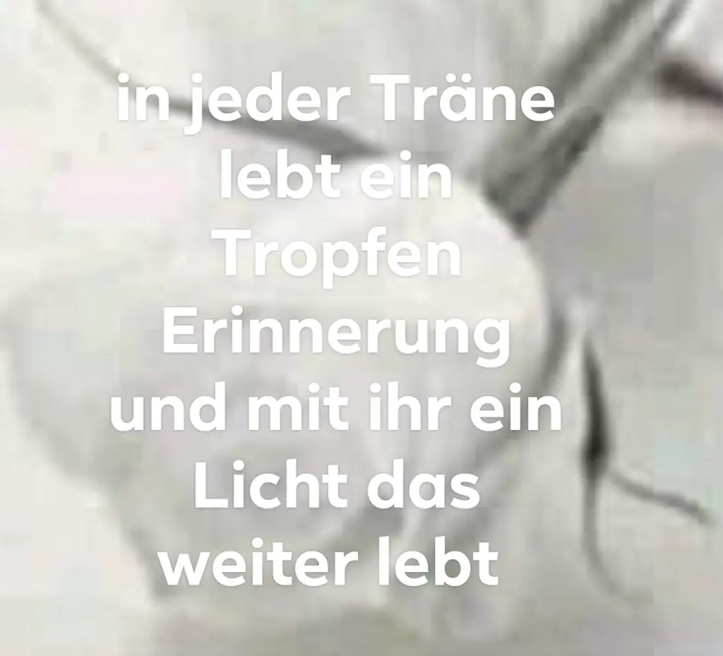 Condolence image of Ulrike woryna