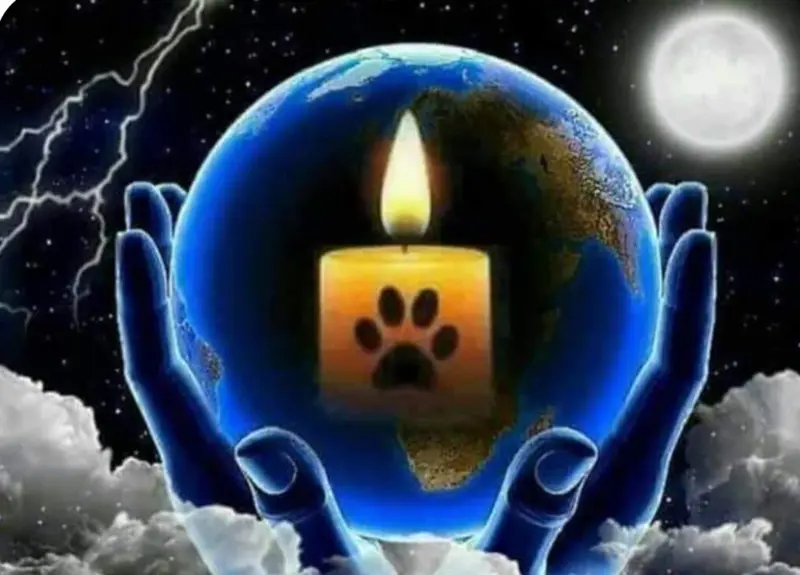 Condolence image of Ulrike woryna