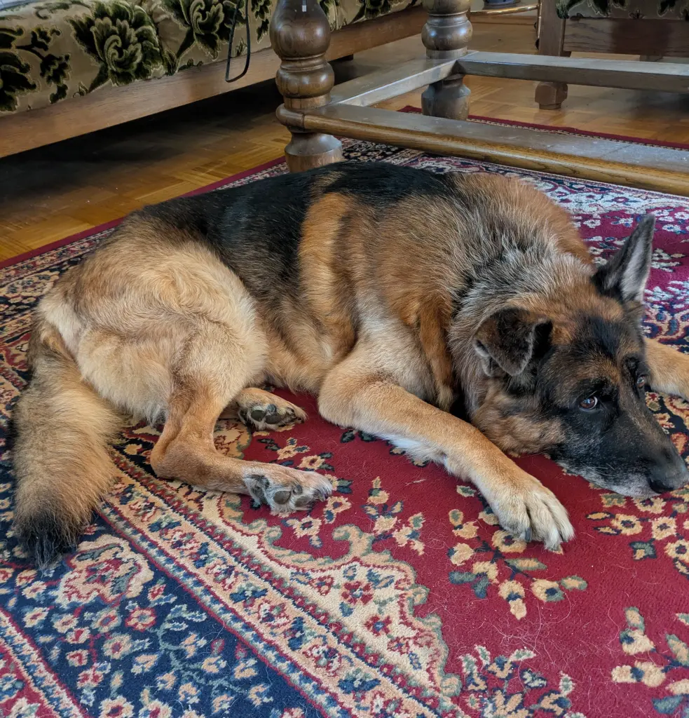 Condolence image of Ulrike