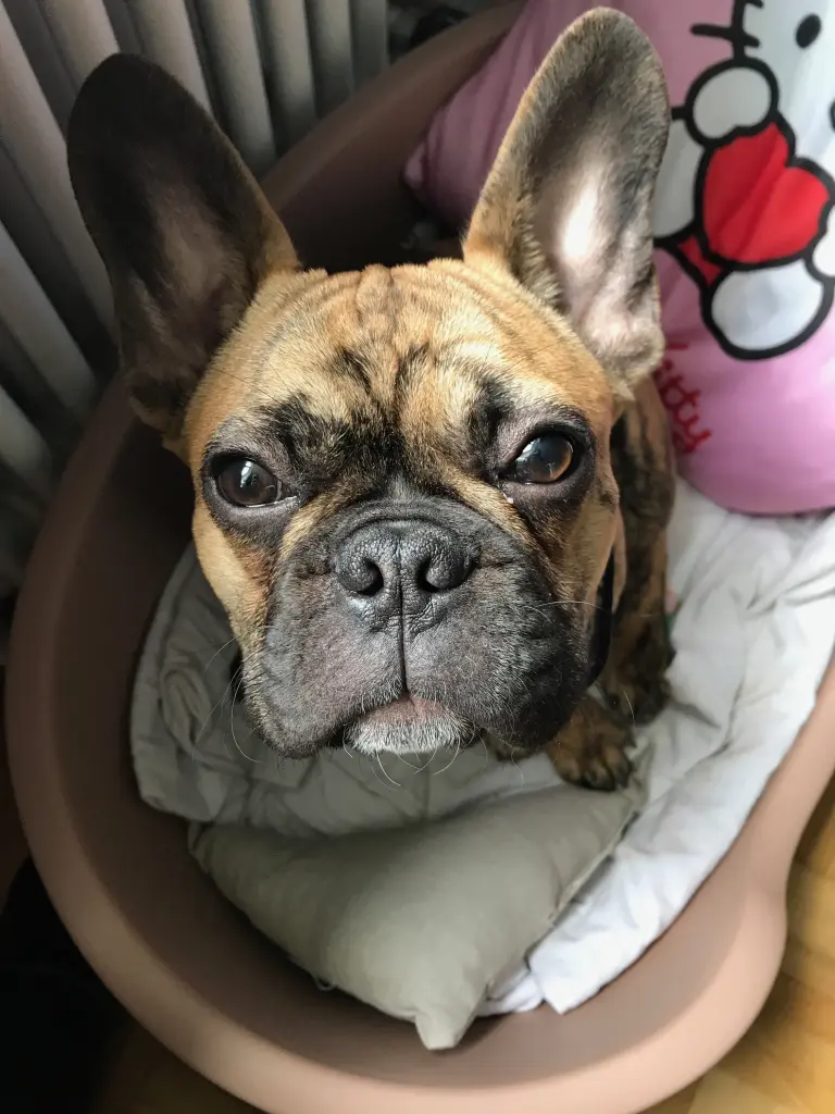 Image from Jack