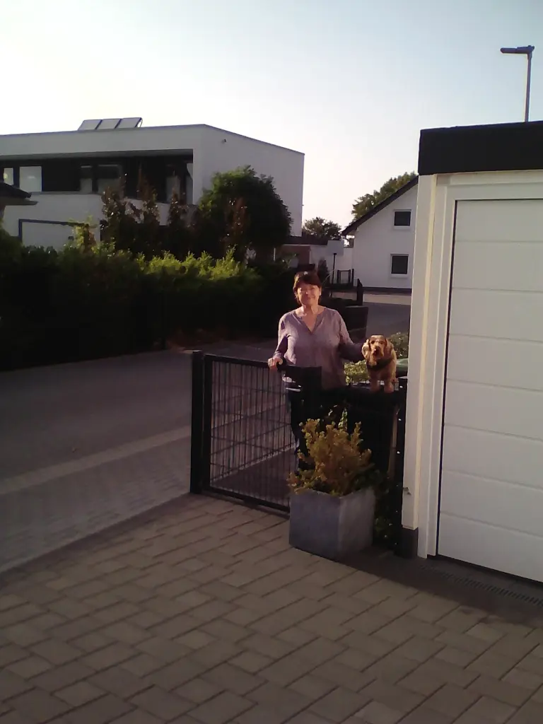 Image from Filo