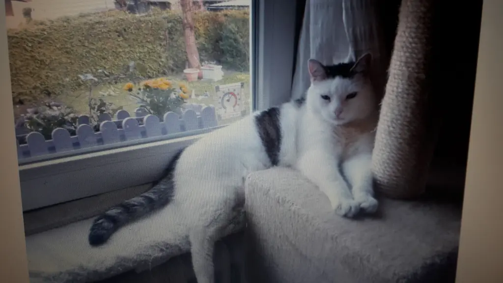 Andachtsbild von Eike und Edeltraud mit Mulle, Miezi und Jonny tief im Herzen 