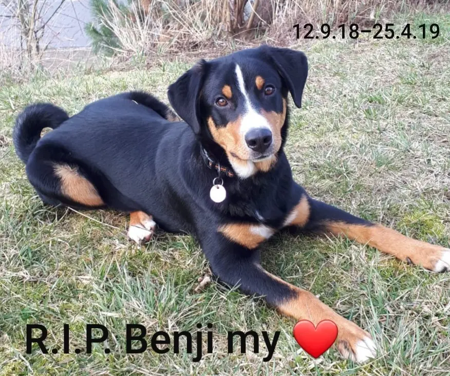 Condolence image of Markus
