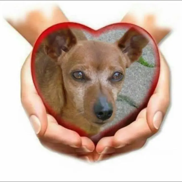 Andachtsbild von Jutta mit Purzel tief im Herzen ✟ 08.05.2016