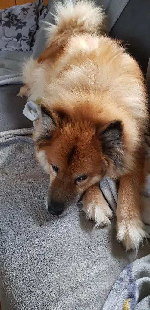 Andachtsbild von Beate