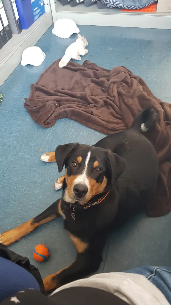 Andachtsbild von Deine Mama 