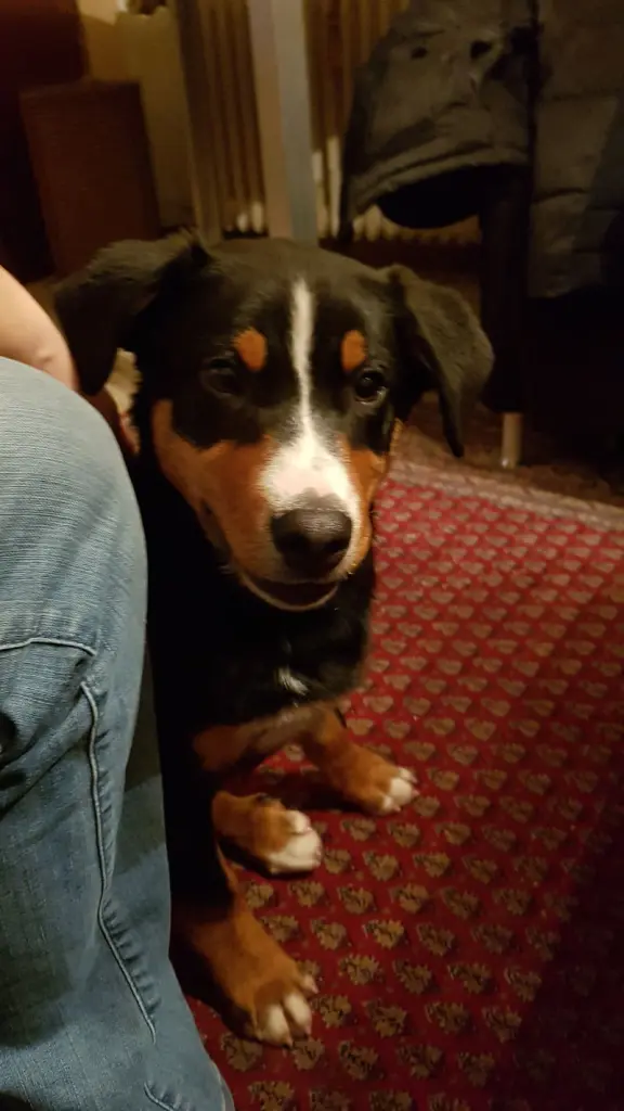 Andachtsbild von Deine Mama