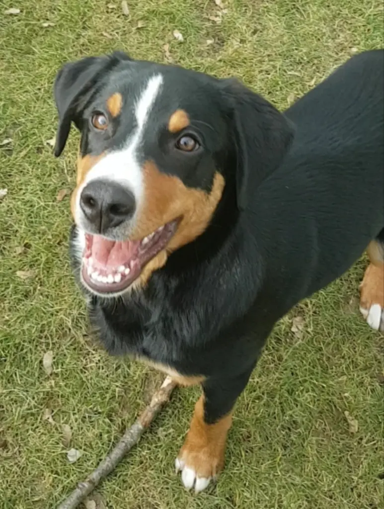 Andachtsbild von Dein