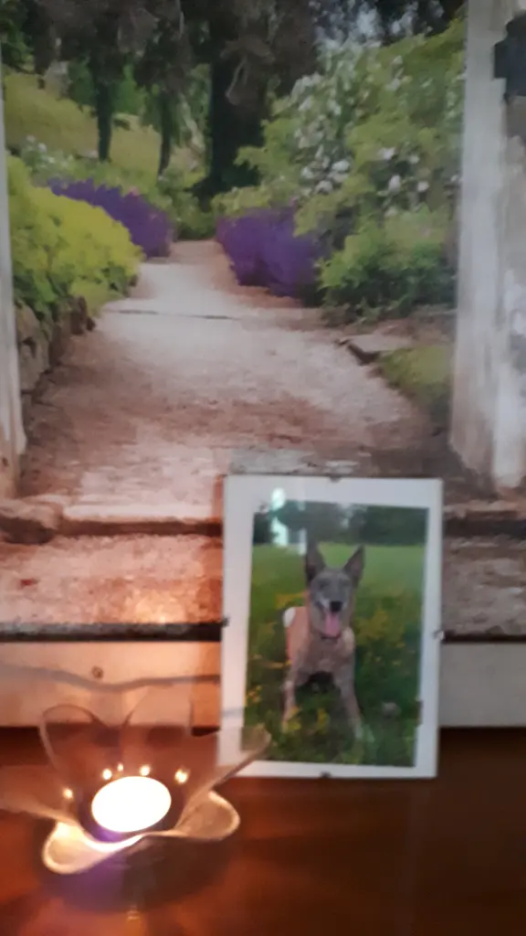 Andachtsbild von Angelika Bellmann-kessler
