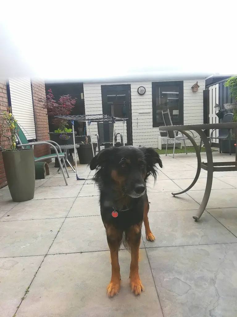 Andachtsbild von Wilma und Ventje Rissenbeek_jellema
