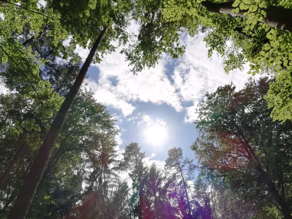 Andachtsbild von Muddi