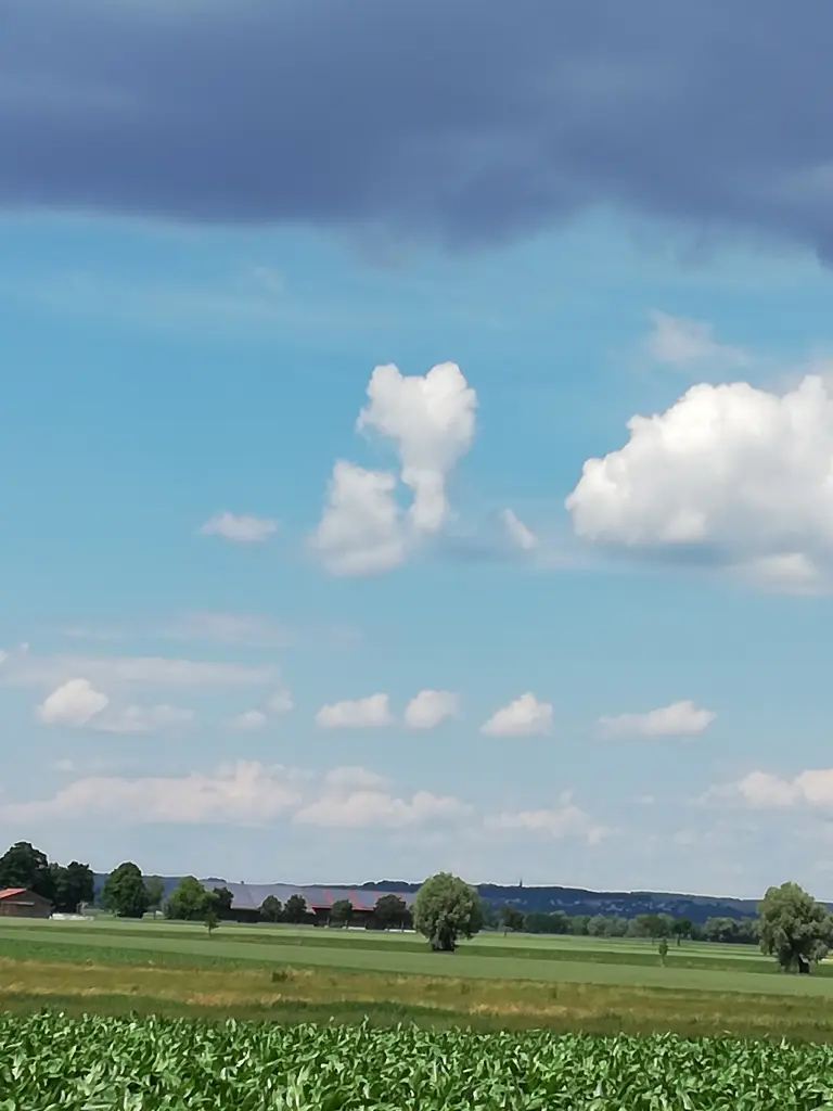 Andachtsbild von Muddi