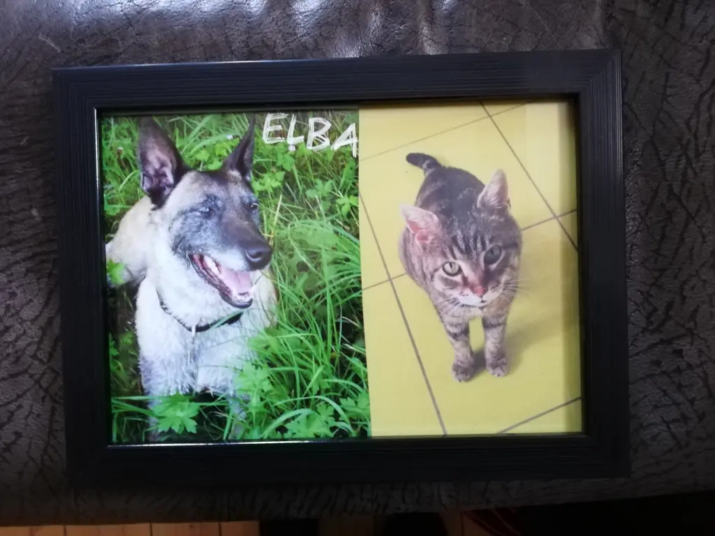 Andachtsbild von Muddi