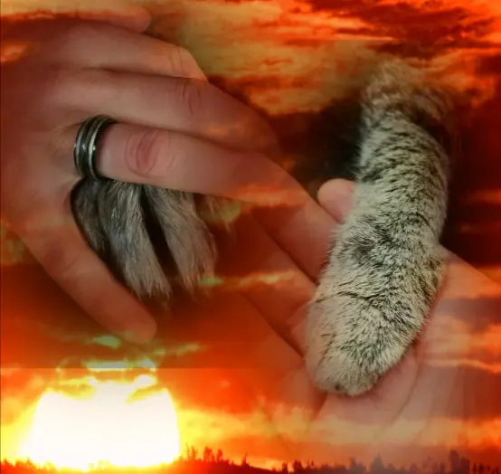 Andachtsbild von Muddi