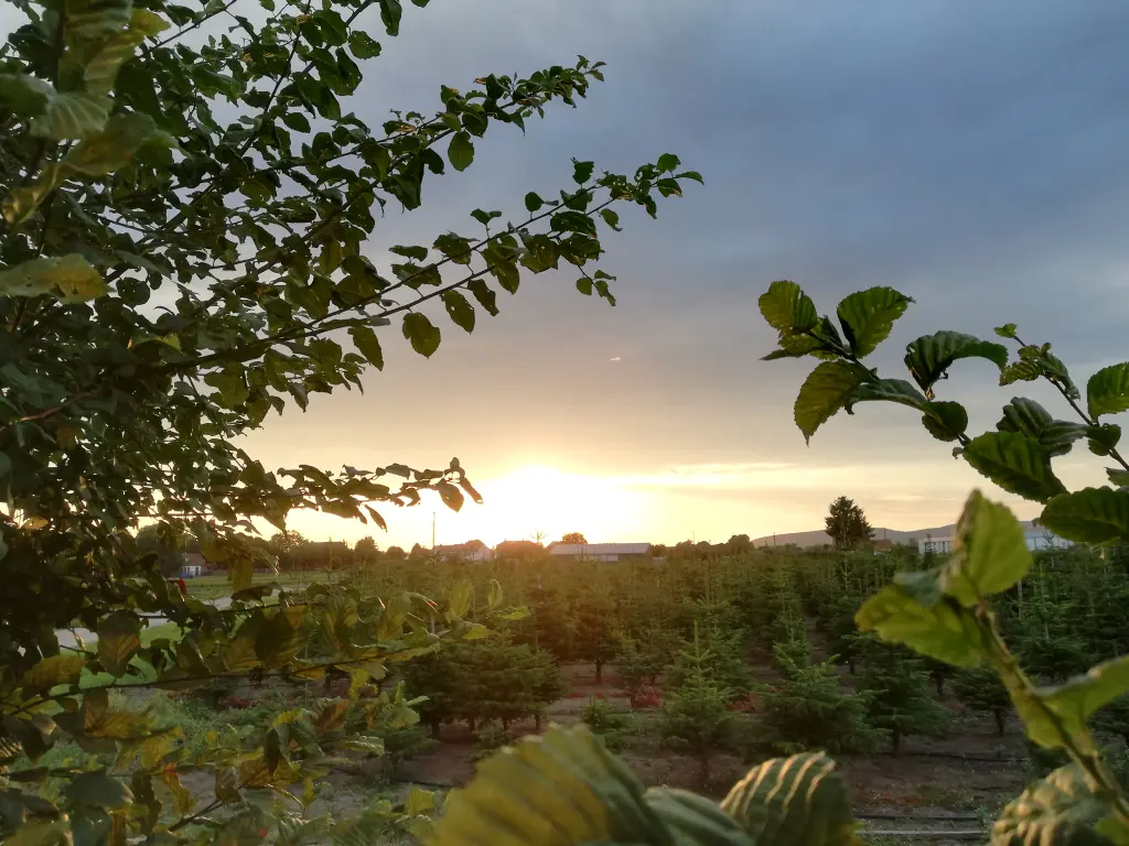 Andachtsbild von Muddi