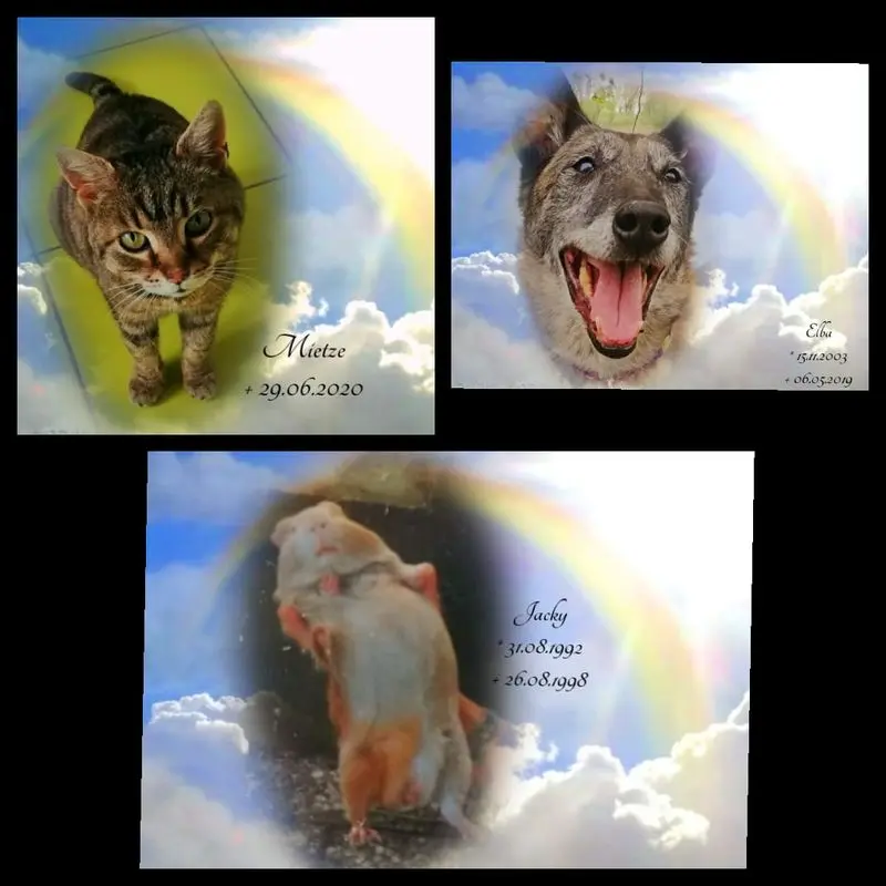 Andachtsbild von Muddi