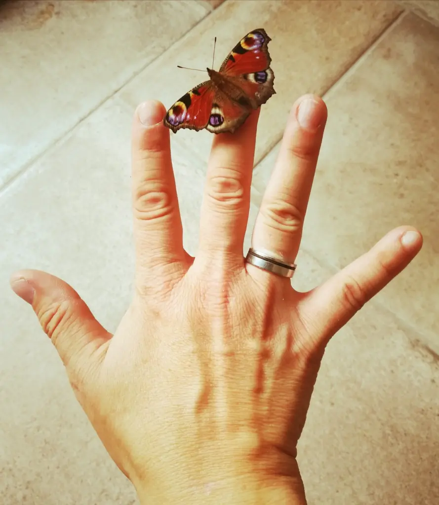 Andachtsbild von Muddi