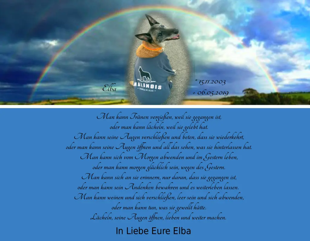 Bild von Elba