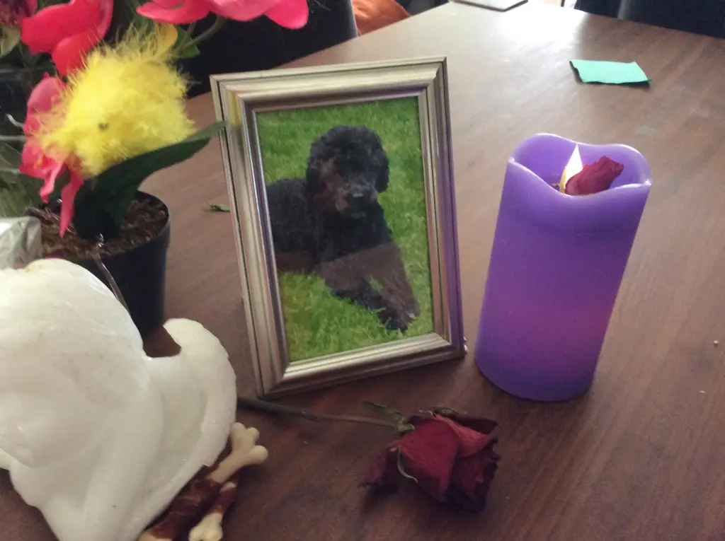 Condolence image of Heidi