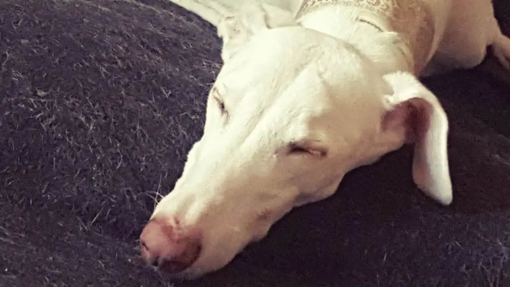 Condolence image of Gwendolyn