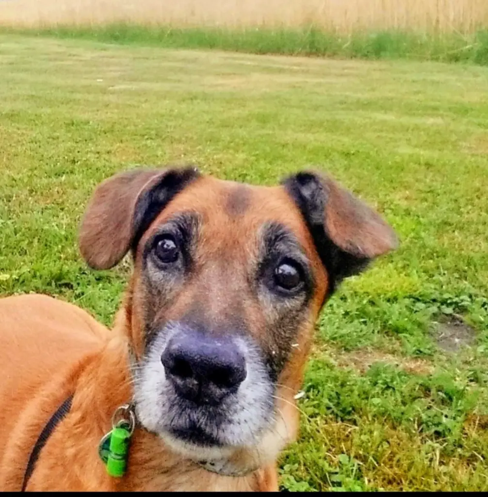 Condolence image of Nelli