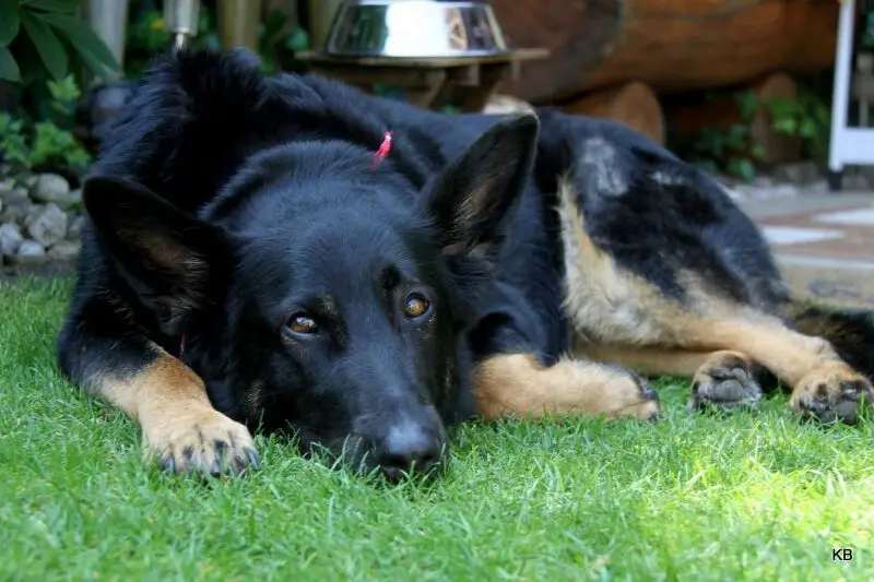Condolence image of Melanie