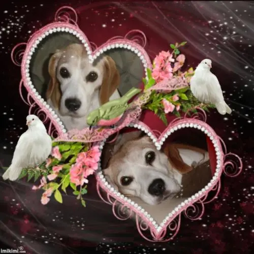 Image from Ronja