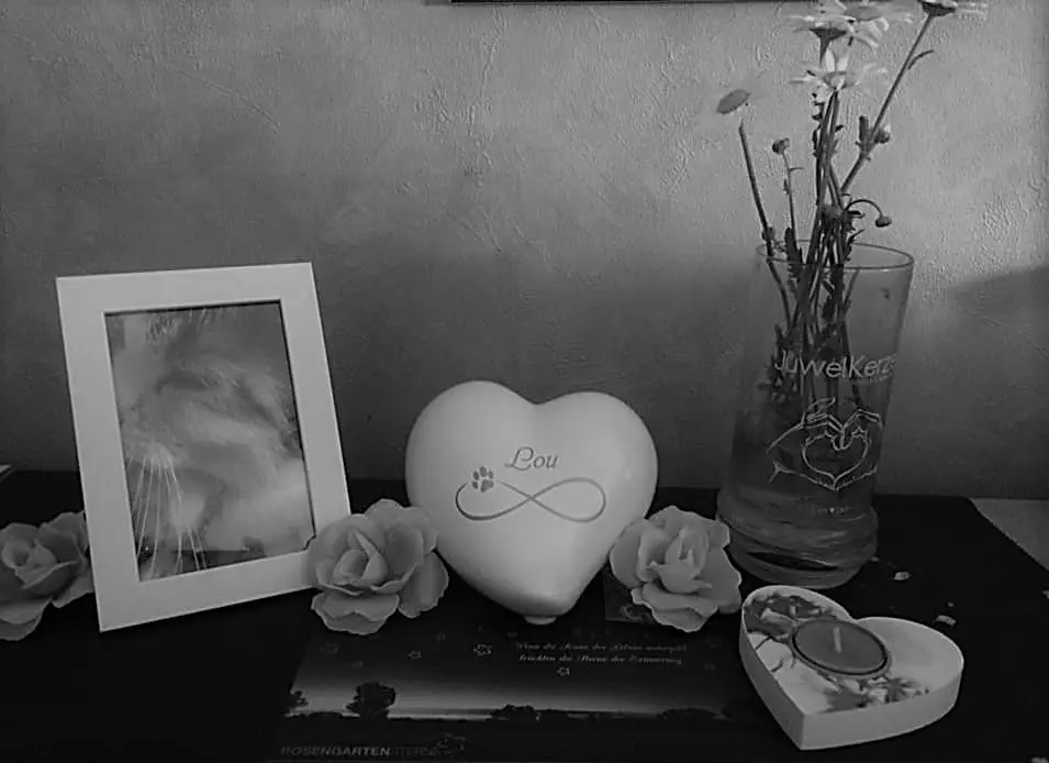 Image from Lou