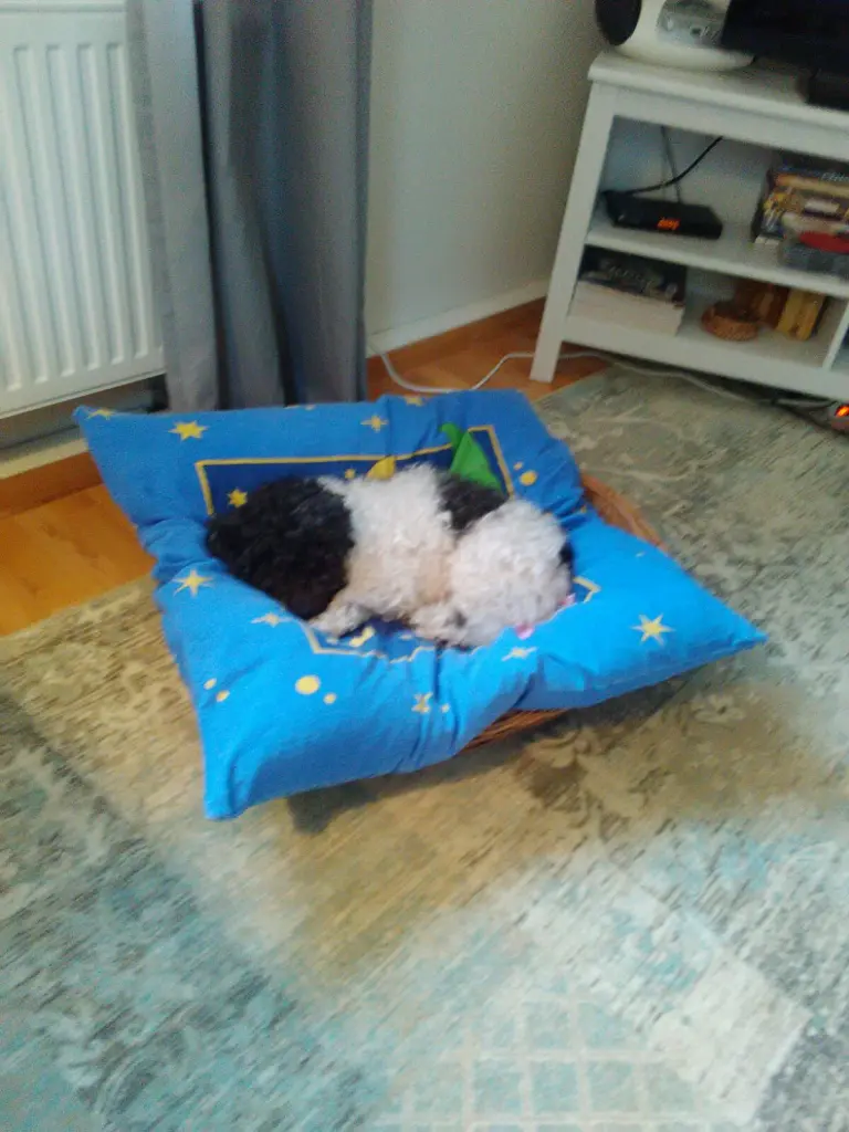 Image from Nicky