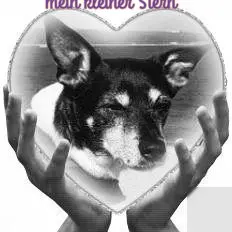 Condolence image of Unbekannt