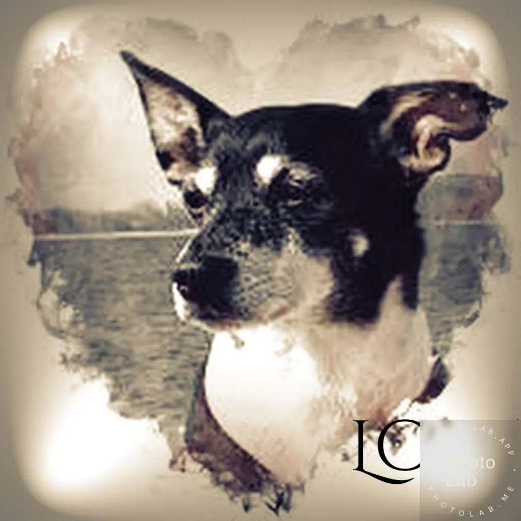 Image from Rico