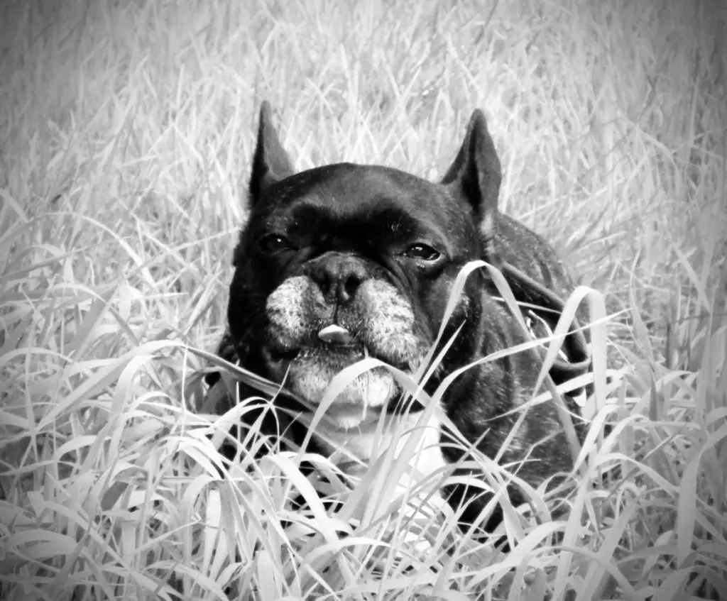 Condolence image of Tanja