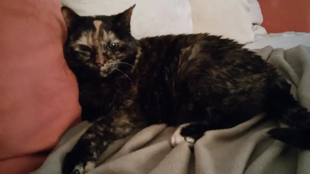Condolence image of Rita