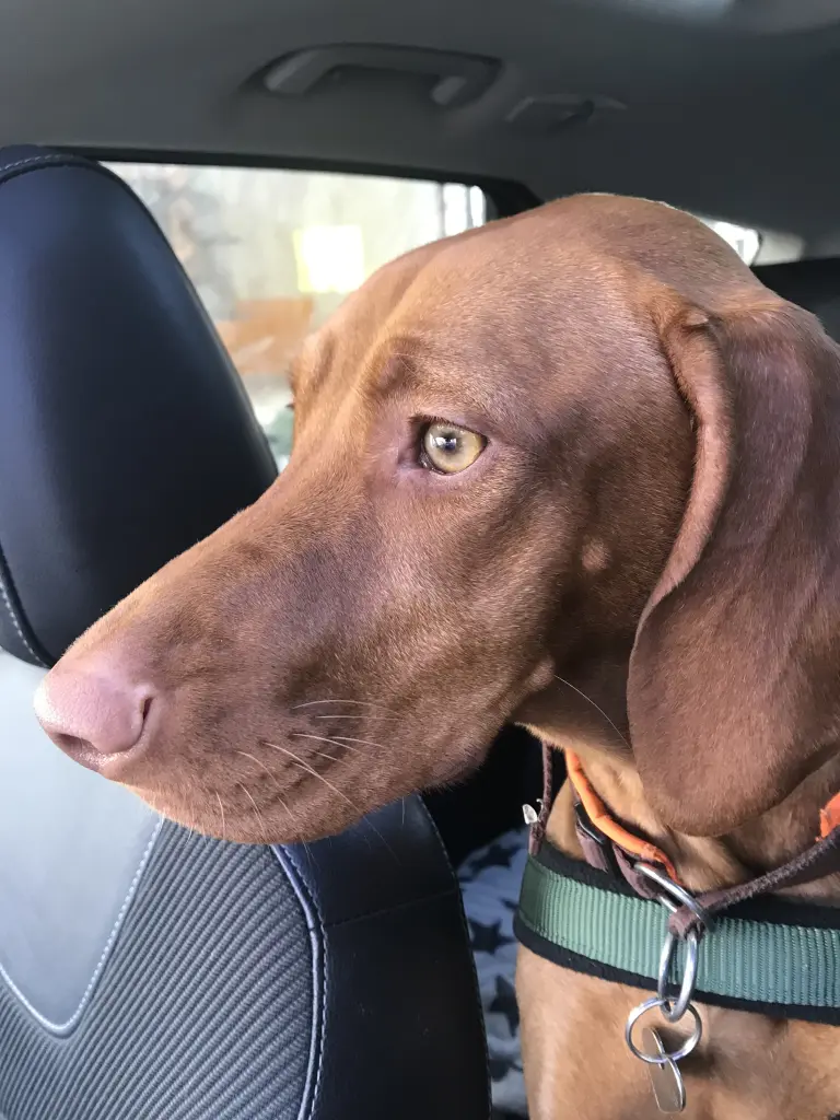 Image from Marci