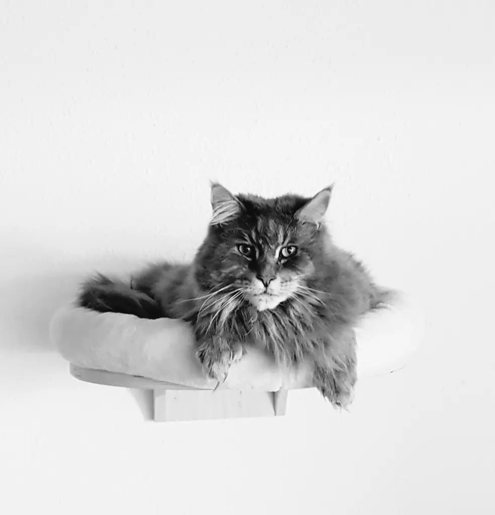 Andachtsbild von Brigitta♥Sam†13.6.19