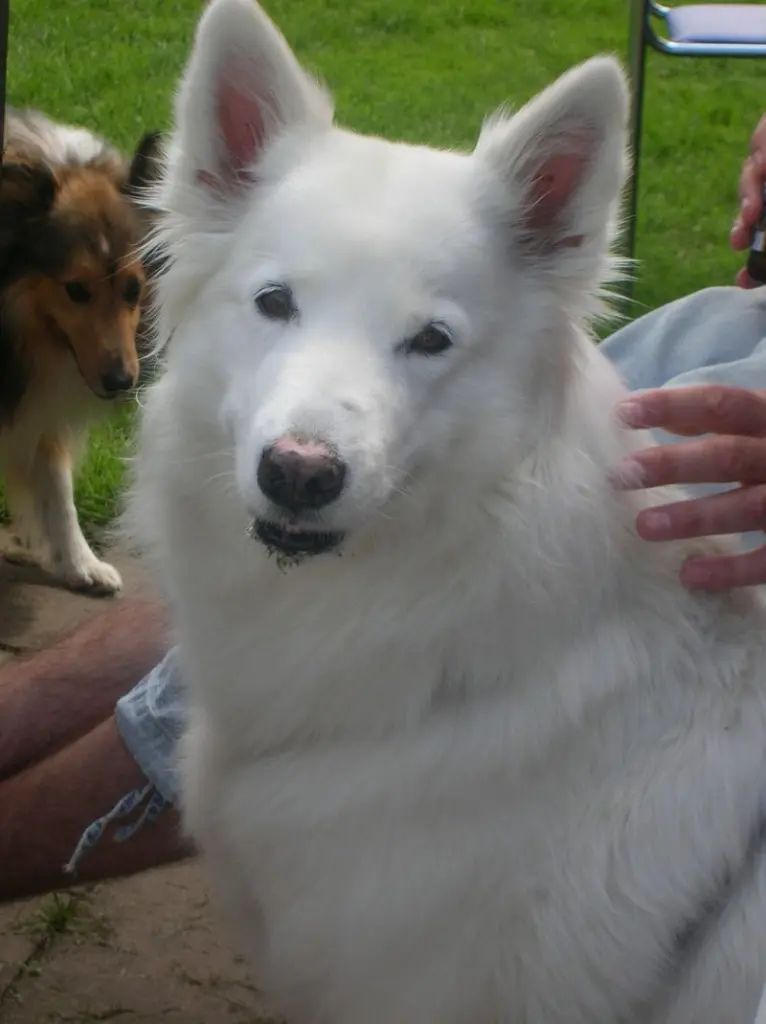 Condolence image of Frauke 