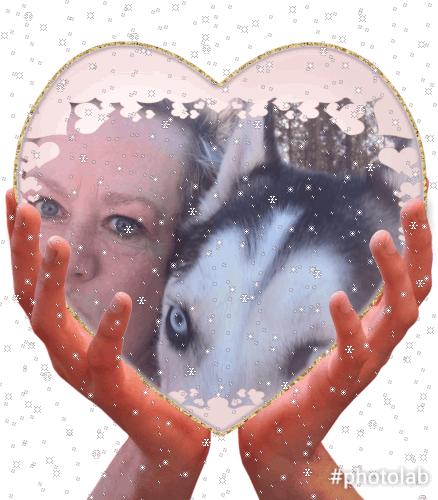 Condolence image of Silke Goldmann