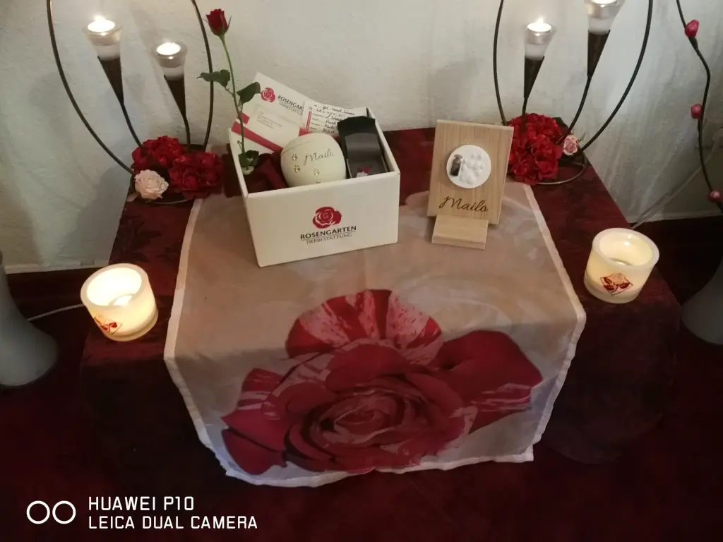 Image from Mailo