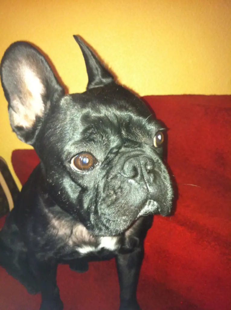 Image from Lucy